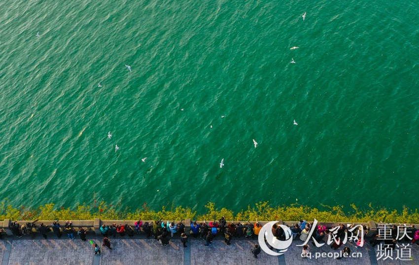 ̲ʎĽttw˱^Bf݅^ίD