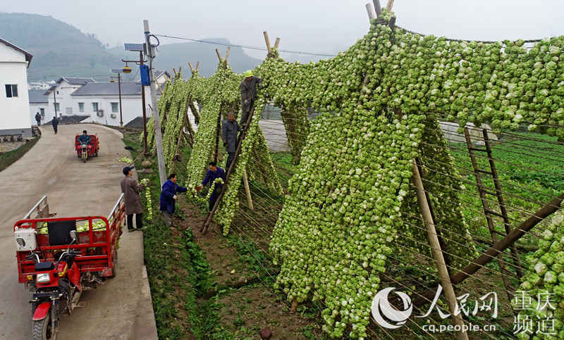 ɴ^ڲ˼LÓˮ־SӔz