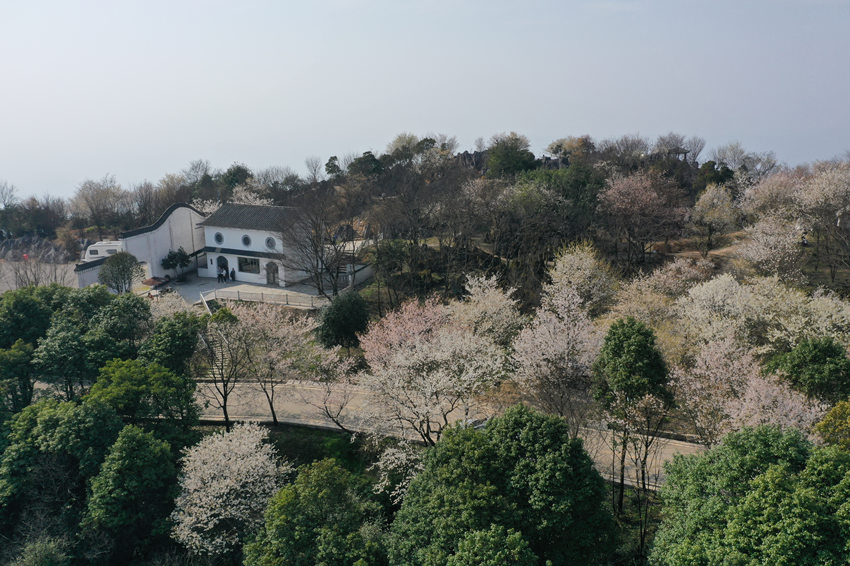 �山�^��ʢ�����ɽ�f��Ұ�ѻ�ӭ���`���������x�z