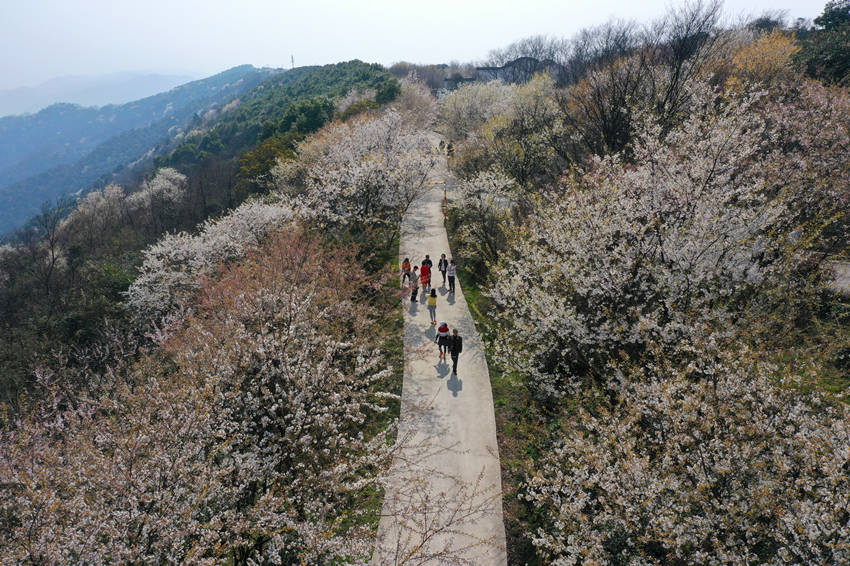 �������������ڻ����g�����ܴ���Ě�Ϣ�������x�z