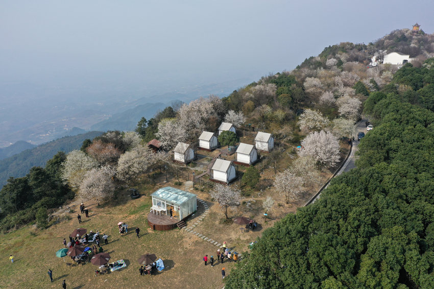 �������������ڻ����g�����ܴ���Ě�Ϣ�������x�z