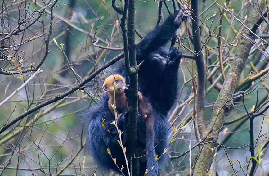 ~ؑcɽҼȻo^ֹD