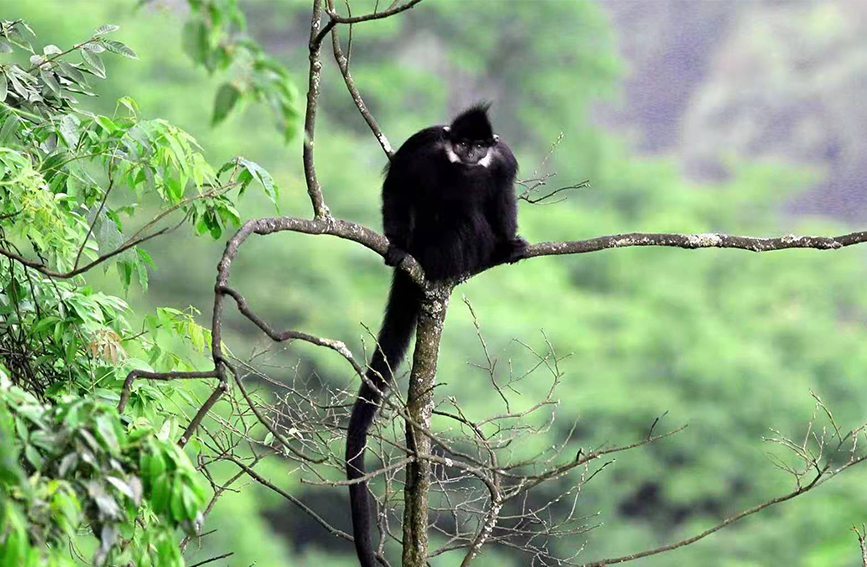 ~ؑcɽҼȻo^ֹD