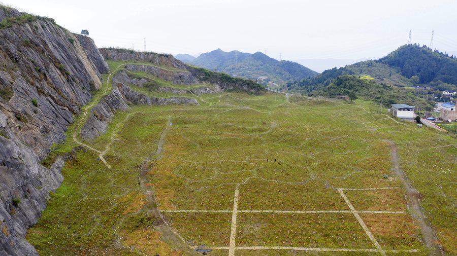 BޏͺؑcбՅ^o^AVɽ@͢z