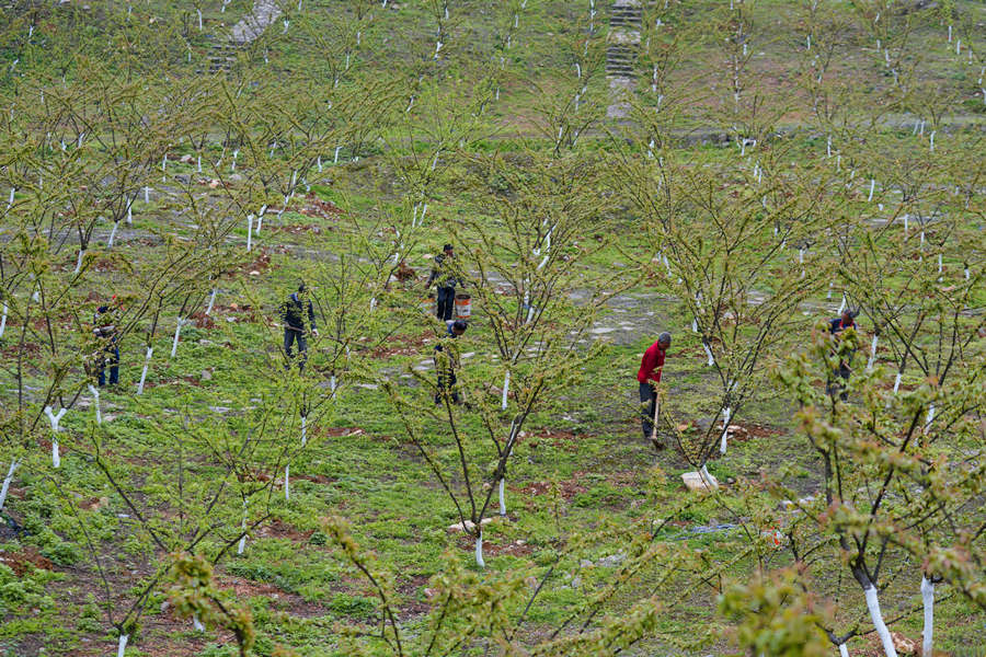 ؑcбՅ^o^AĵVɽ@͢z