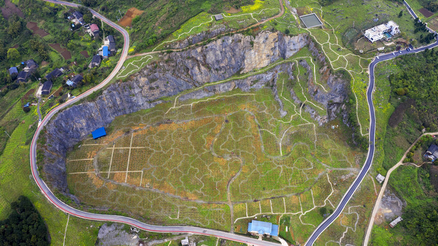 BޏͺؑcбՅ^o^AVɽ@͢z