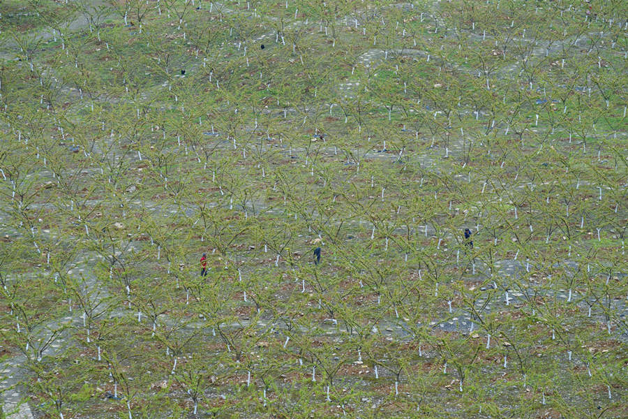 ؑcбՅ^o^AĵVɽ@͢z