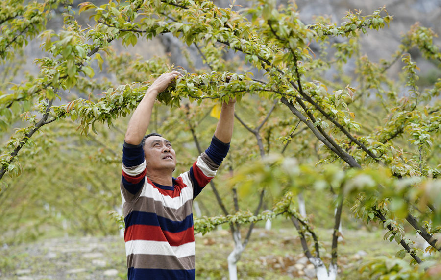 ؑcбՅ^o^AĵVɽ@͢z