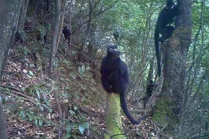 ~ؑcϴɽؑc֘IֹD