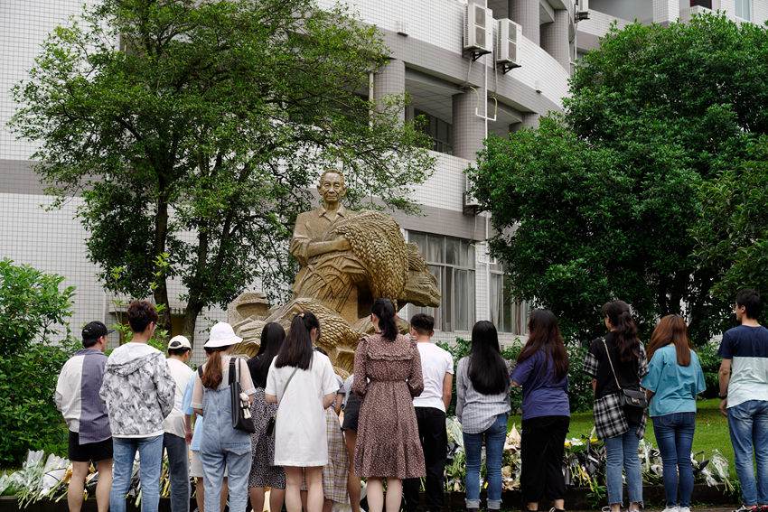 �԰lǰ������όW�L���Ď���������͢���z 