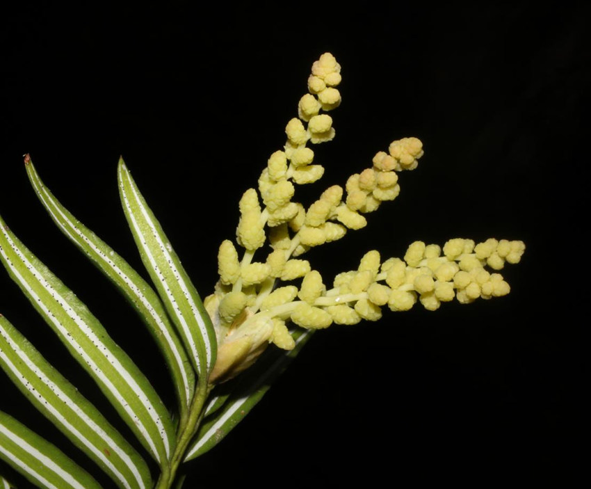 뻨ɼؑcꎗlXҼȻo^ֹD