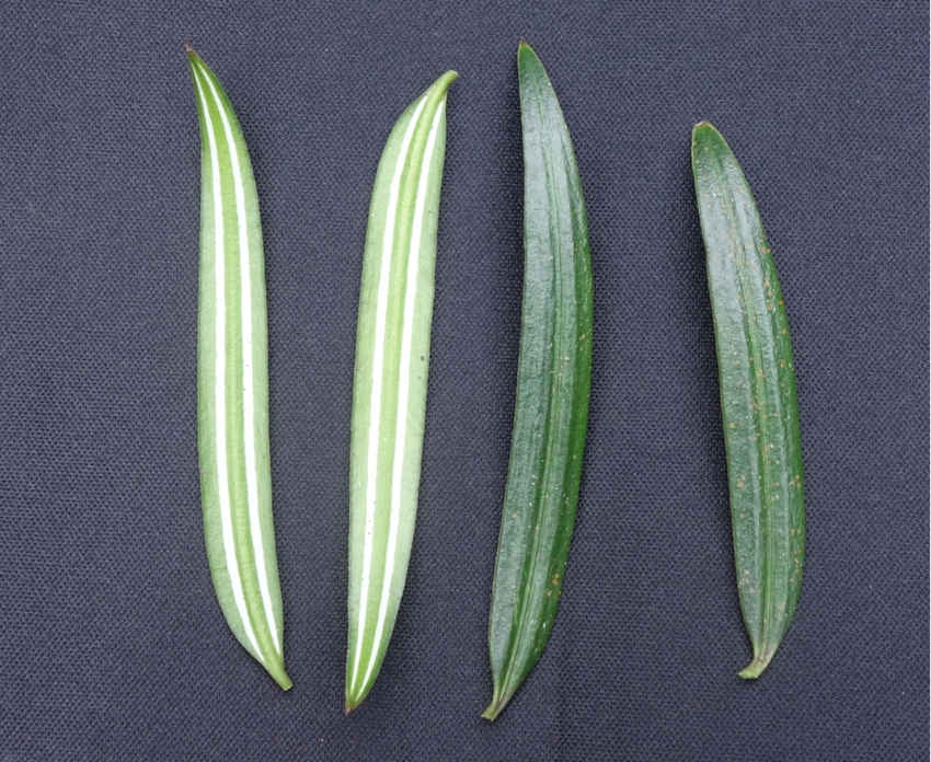 뻨ɼؑcꎗlXҼȻo^ֹD