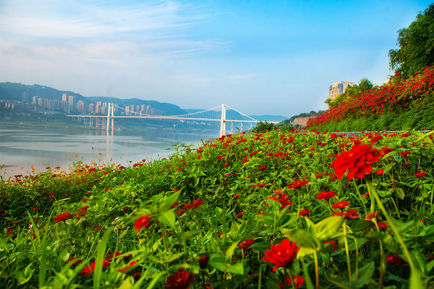 fݽ^ϞI@L䎧r`Gz