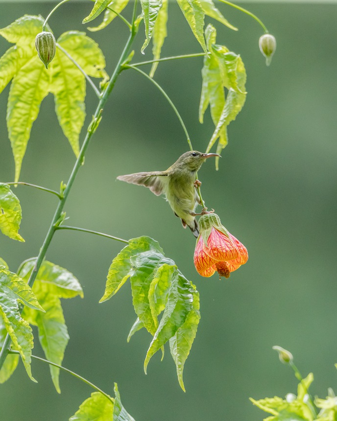 β̫Bؑcϴ^ɽ¾^g衱z