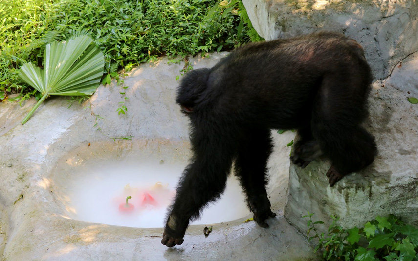 ˆT؄eʂˡˮ偡ɽ z