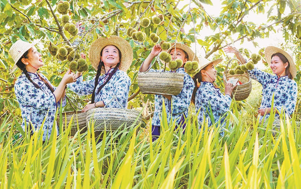 ժBĔzcӈDTƺ zҕXؑc