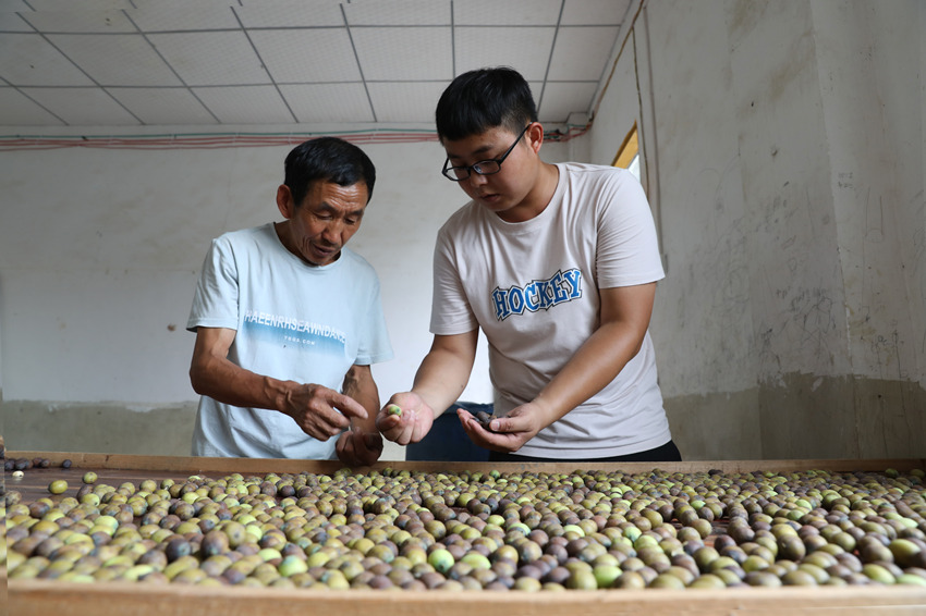 Ƚࣨңovӷ֒ɏΨz