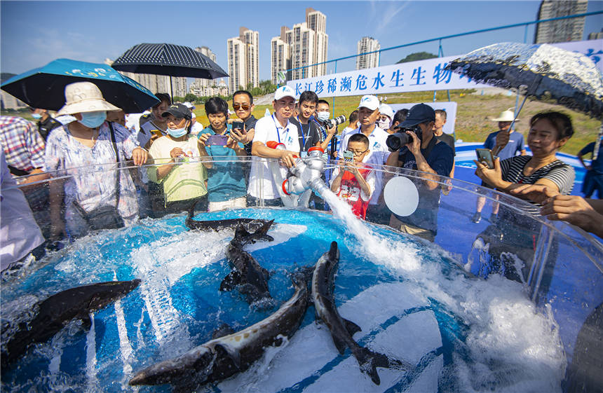 LϡlΣˮֳӬFȽ܊ z