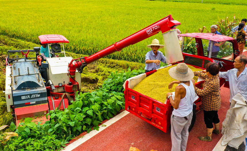 |hɳƺ״rCոˮLƔz