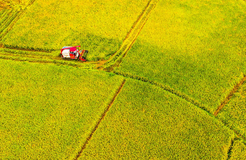 ոCډ|hɳƺ״gոˮLƔz