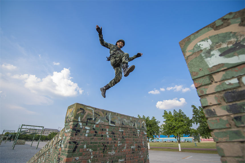 侯ؑcꠙC֧ꠂɲ꠹ٱMͨ^ϵKӖ־ z