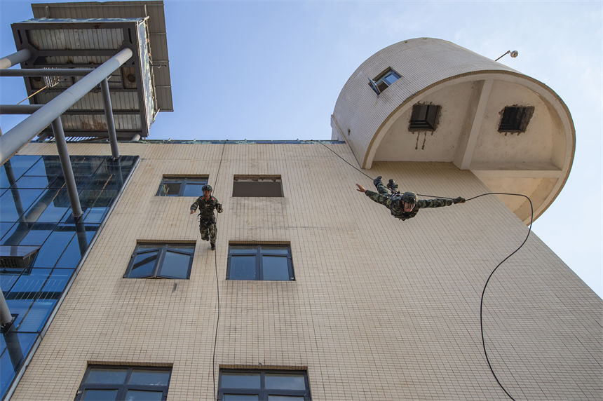 侯ؑcꠙC֧ꠂɲ꠹ٱMИǷ»Ӗ־ z