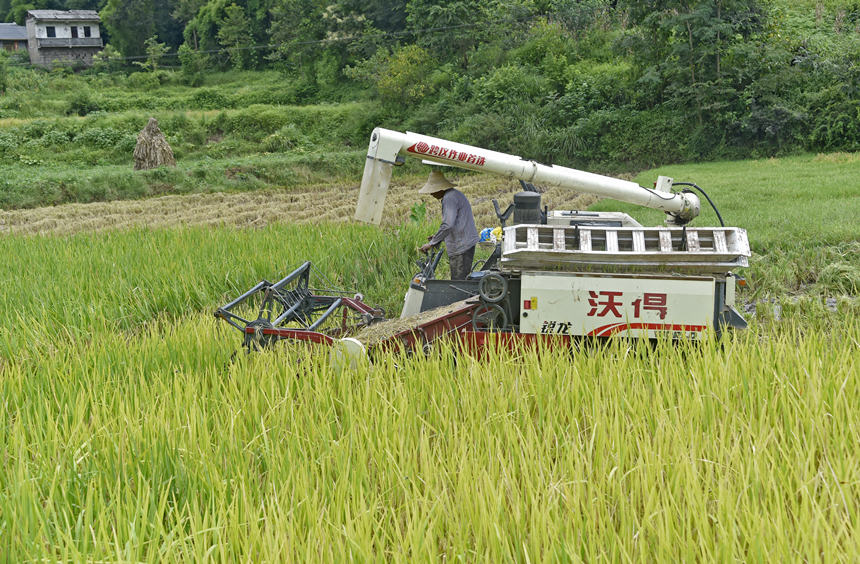 Cո󽵵̈́ڄߵĄڄӏSӔz