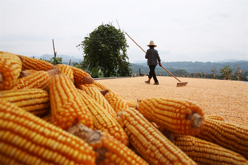 ؑcǭ^Ϫ悄ٵ^׵rz 