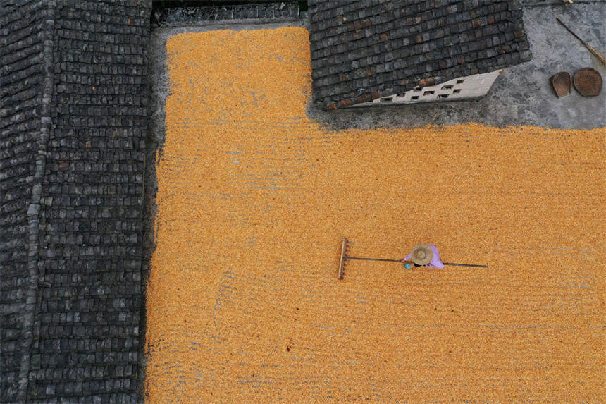 񂃓ץԼҘ피߅Ժz