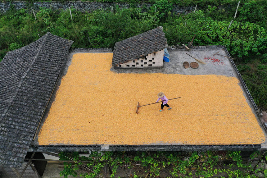 񂃓ץԼҘ피߅Ժz 