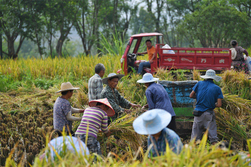 ���g���^��һ���S�շ�æ����������z