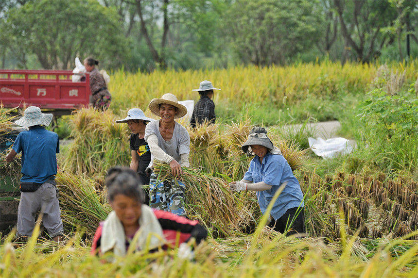 �������õ�����Ц�_�ˑ�������z