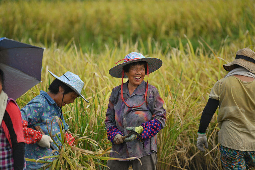 ���g�������S�յ�ϲ��������z