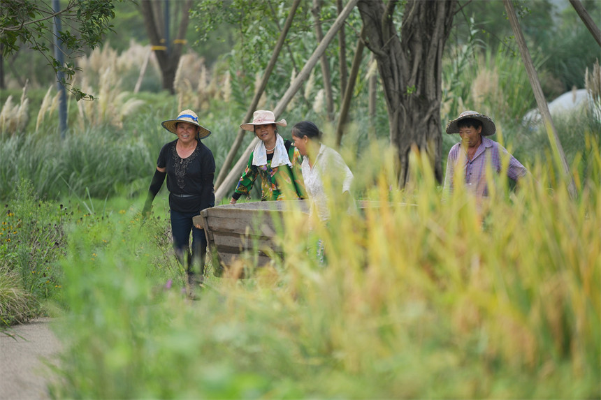 ���g���^��һ���S�շ�æ����������z