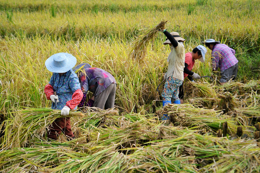 ���g���^��һ���S�շ�æ����������z