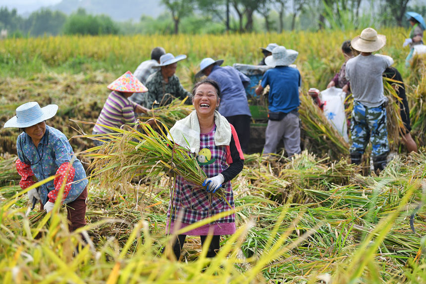 �������õ�����Ц�_�ˑ�������z