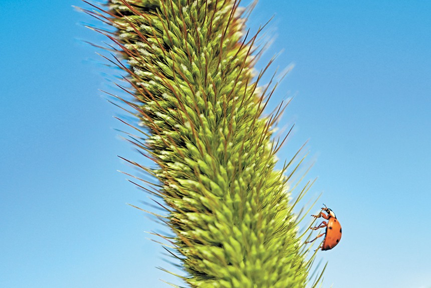 928ɹŞmɳĮɳĮԇлɳĮдƬֲSСxڴ˰