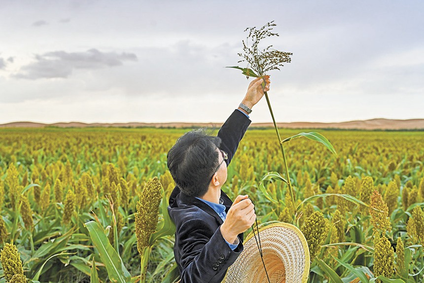 919ɹŞmɳĮɳĮԇлˆTڸռ