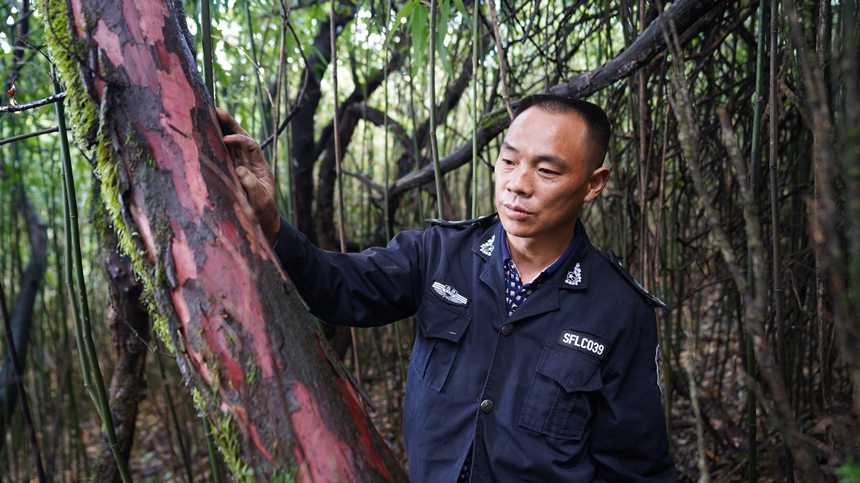 dAÿ¶Ѳo^ȵϷtɼAz