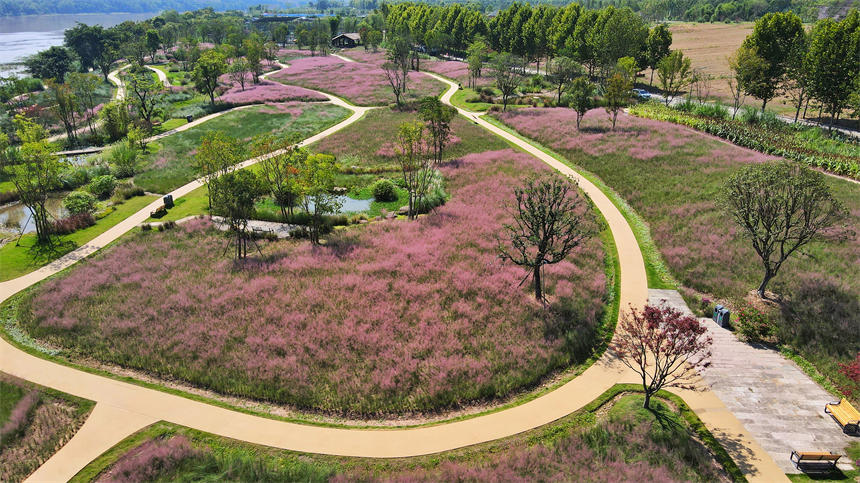 ��Ƭ�ķ������һ����ɫ�Į���������z