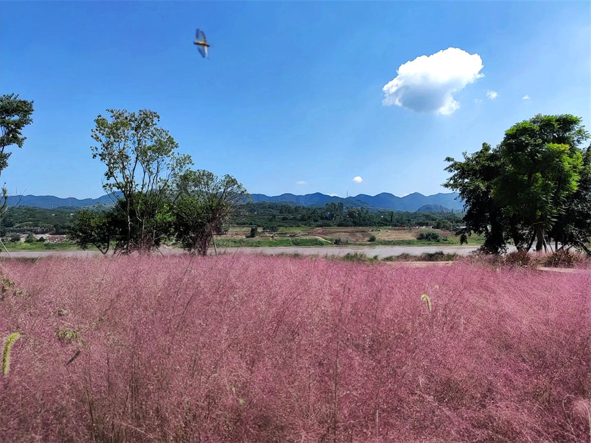 VꖍuBޏͅ^pӯVķ˝Mһ@ͮz