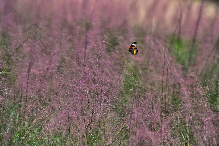 ΢�L���^�������pӯ�Ļ����S�L�����������ꇷ�ɫ����������z