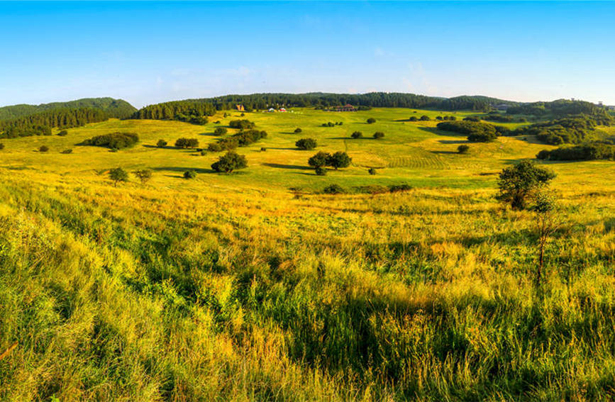 色彩斑斕的仙女山。武隆景區供圖
