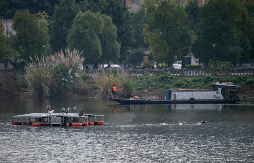 B̫ܻˮCЪ_Ư߅^Ƚ܊z