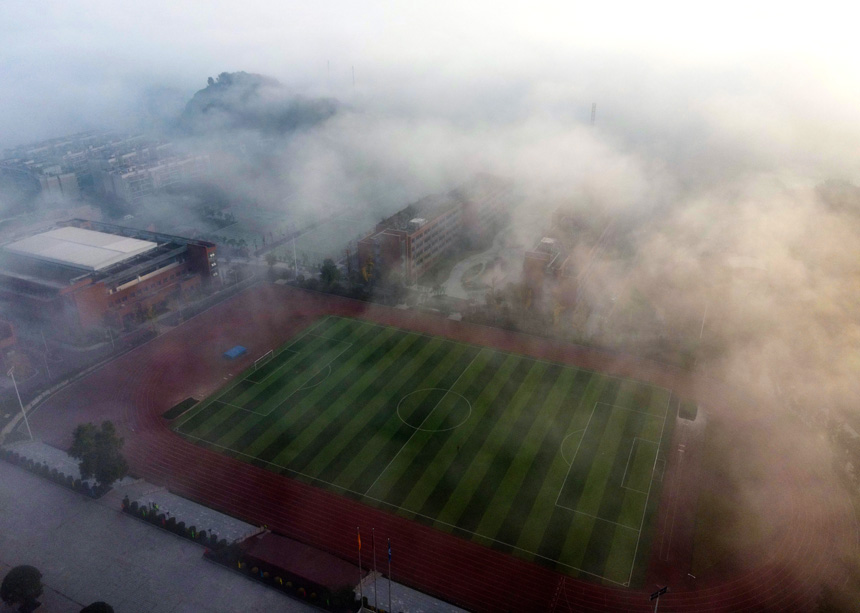 ĿигʬFһNV֮޾ӡz