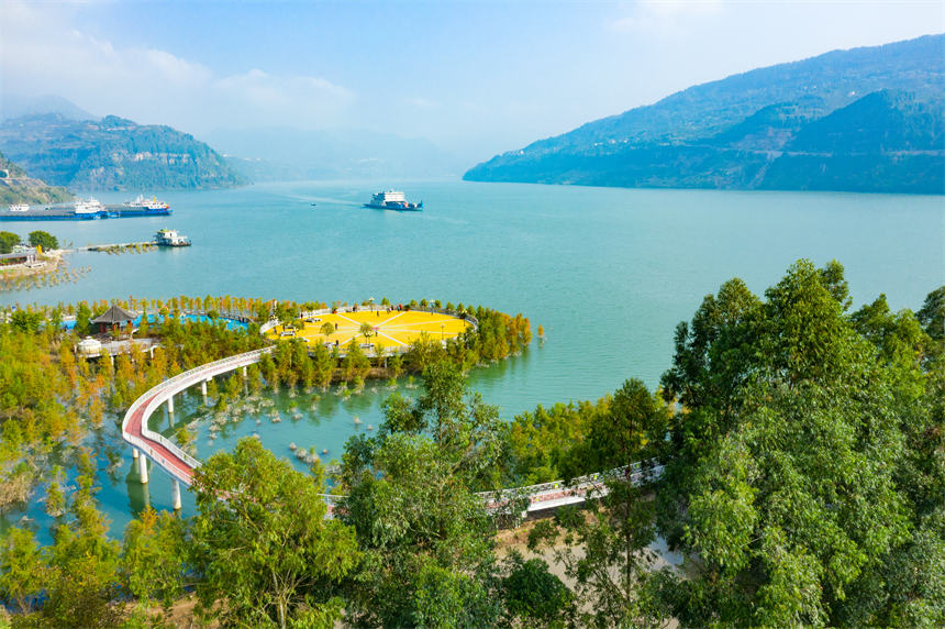 _VIʮLȺ͡ˮɭ֡γһnLsvz