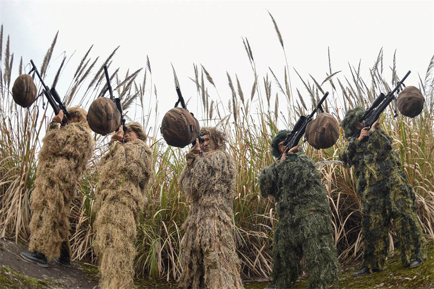 �ѓ����M�Г���Ӗ�������Z�z