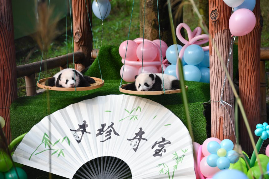 ؑcp̥؈䡱挚Muz