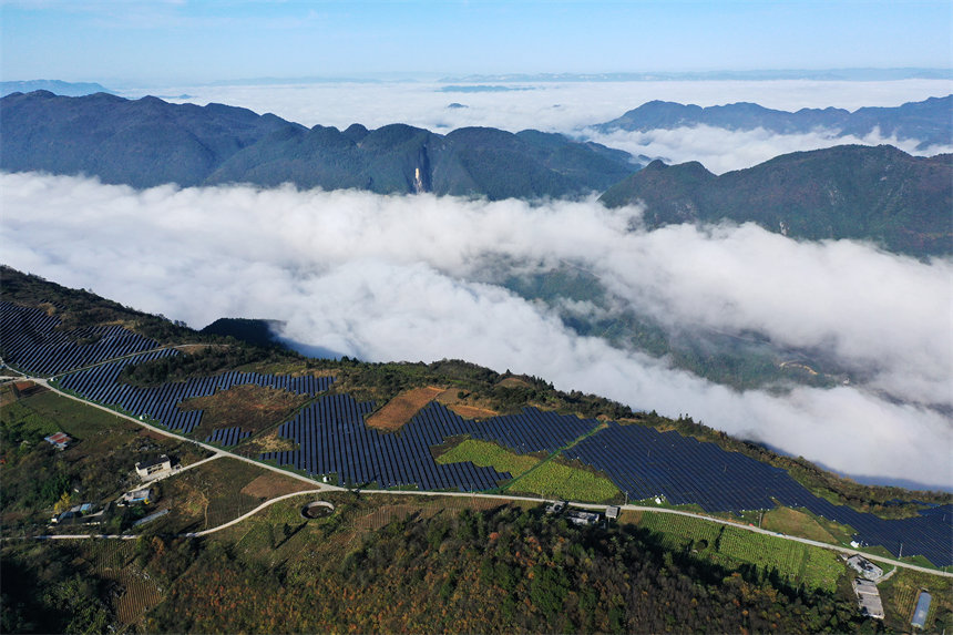 ƺp@bɽnе30fƬz