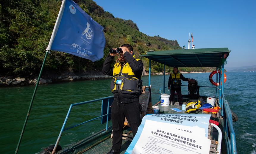 oO꠆TLֶѲ߉Ƚ܊z